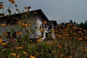 Favetto Family Ranch