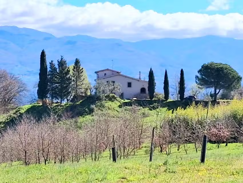 Felciolina B&B – Medieval Country House