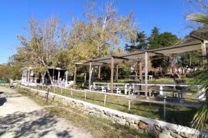 Fenicottero Rosa Snc Di Giordano Fausto & C.Area