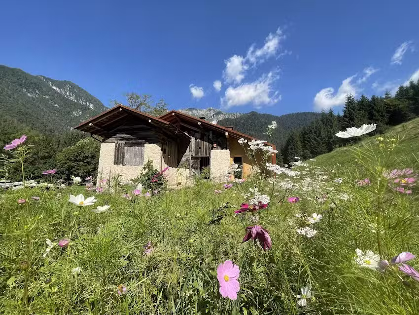 Fior di Fenìl, natural chalet