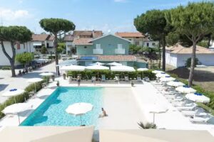 Fiori di Cardo AgriMare