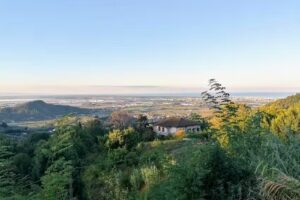 Frantoio di Corsanico