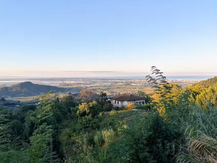 Frantoio di Corsanico