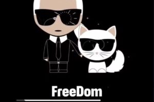 Freedom Camp