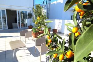 Gatto Bianco Le Terrazze