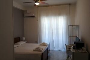 Gatto Bianco Picone19