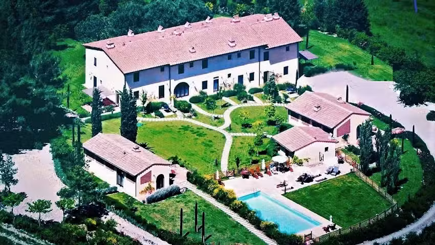 Gatto Bianco Tizzauli