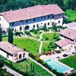 Gatto Bianco Tizzauli