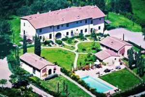 Gatto Bianco Tizzauli