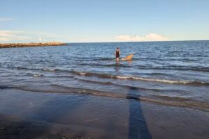 Gebetsroither Rosalina Mare