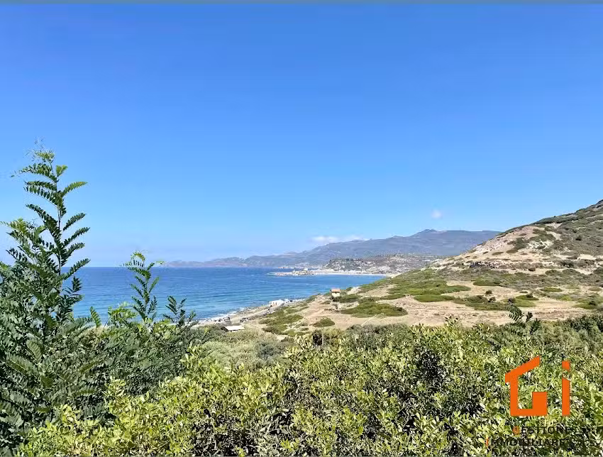 Gestione Immobiliare s.a.s. di Roberto Fancello