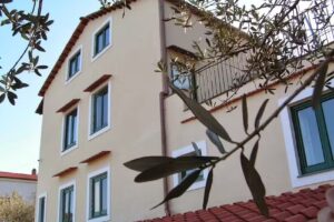 Gli Ulivi Agriturismo