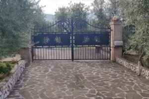 Gli Ulivi D’Argento