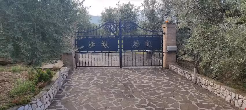 Gli Ulivi D’Argento