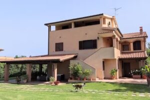 Gli Ulivi di Maremma