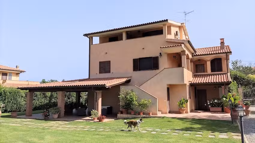 Gli Ulivi di Maremma