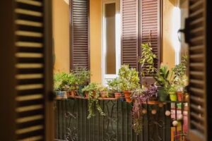 Good Morning Bologna – Marsala R&B