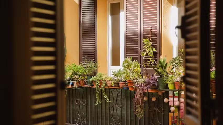 Good Morning Bologna – Marsala R&B