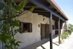 Gorgo Rinaldi Monopoli