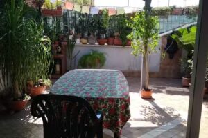 Harmony, vicino al Vespucci