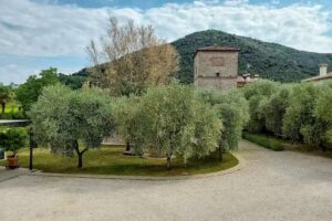 HOLIDAY HOUSE La Colombara del 900