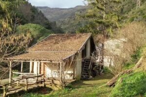Holiday house Laghetti di Nervi