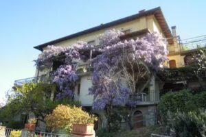 Home Holiday Bel Panorama CIN:IT048032C2OGE4O489