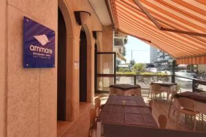 Hotel Ammare