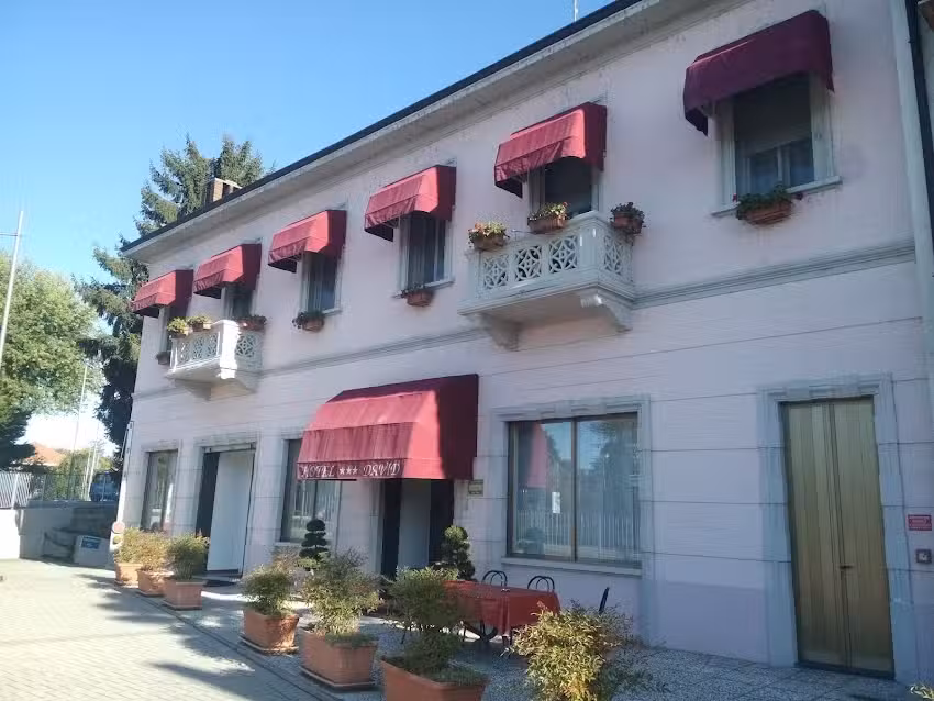 Hotel David