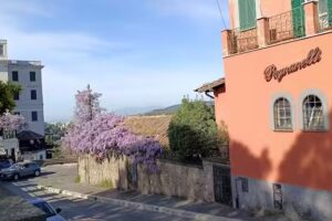 Hotel Pagnanelli al Belvedere