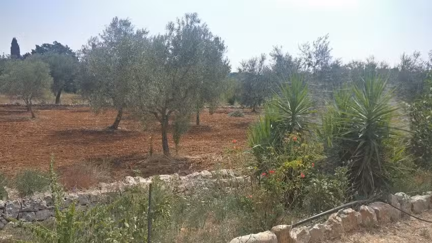 Hotel Ristorante Mizar Blu Di Dragone Leonardo