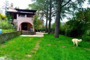 I Cavalieri Del Lago