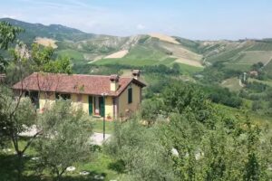 I Custodi Dell’ Uliveto