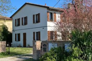 I gatti e la Volpe B&B