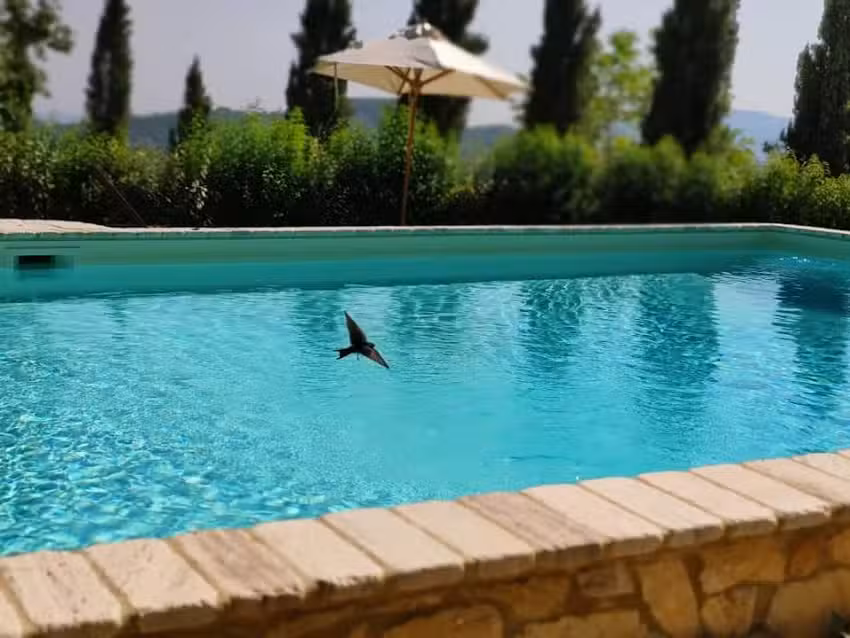 Il Borgo Del Lupo Relax Family Apartments in Tuscany with Restaurant & Swimming Pool