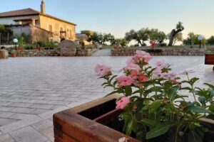 Il Borgo di Nonno Carlo