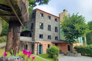 Il Bosco di Campo Marzano