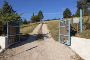 “Il Cardo da Pasquarè” casa vacanze