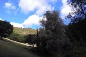 Il Casale di Montondo