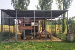 Il Casale tra i Pioppi