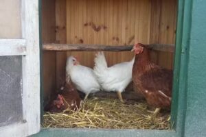 Il Castello del Sole