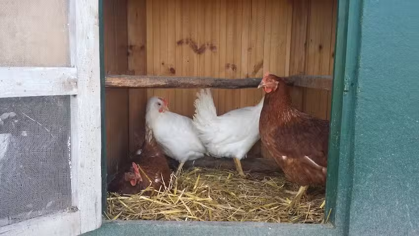 Il Castello del Sole