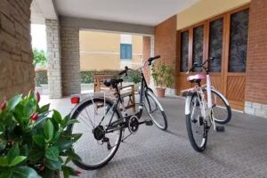 Il Ciclista Solfagnano