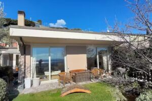 Il ciliegio sul lago