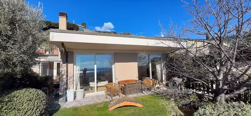 Il ciliegio sul lago