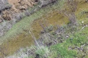 IL CIOCCARO-INN exclusive B&B