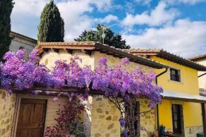 Il Cortile delle Rose