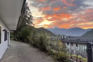 Il fiore del Calisio