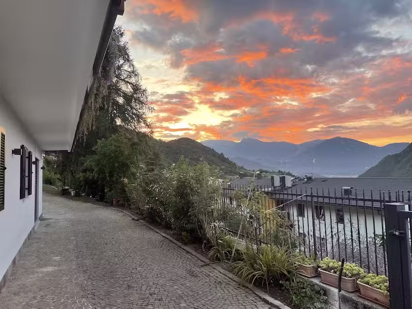 Il fiore del Calisio