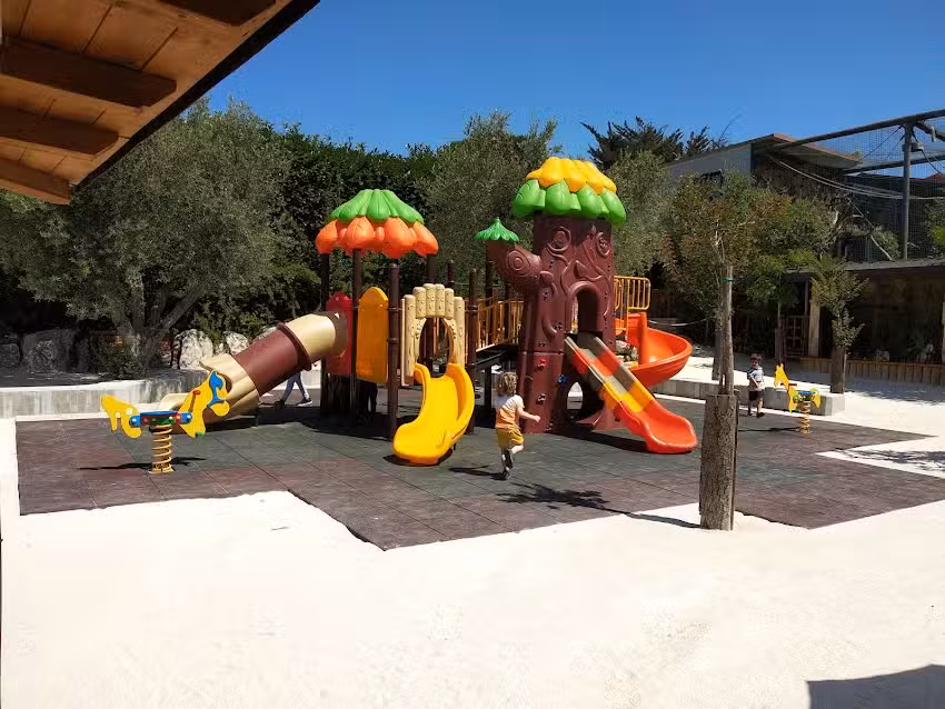 Il Gelso delle Maitine